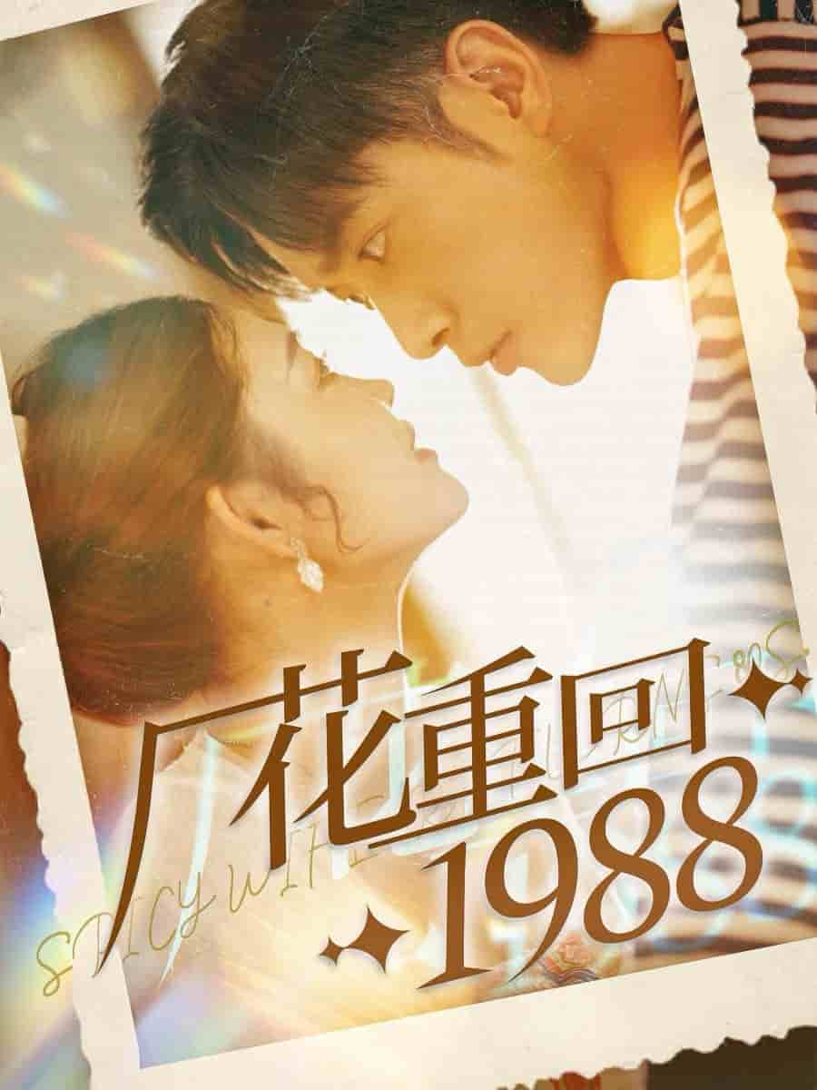 厂花重回1988 第10集