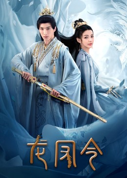 龙凤令 第04集